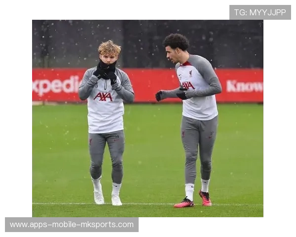 未来之星崭露头角!新鲜血液冲刺巅峰! 未来之星崭露头角!新鲜血液冲刺巅峰!